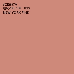 #CE897A - New York Pink Color Image